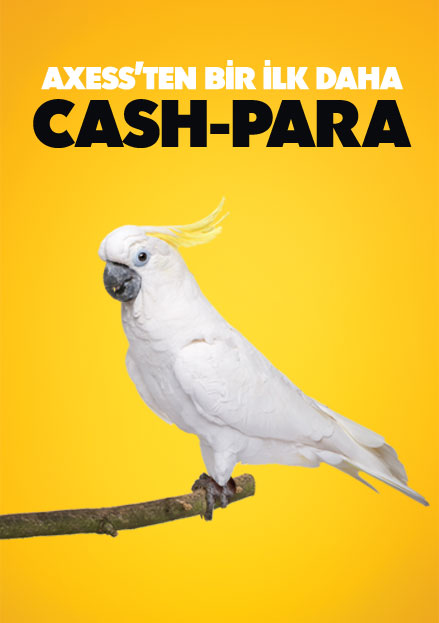 axess_cash_para