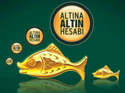 altin-hesabi